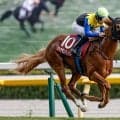 【セントウルS出走馬・騎手確定】ダイヤモンドノット＆川田将雅騎手、フリッカージャブ＆松山弘平騎手など16頭