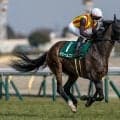 【紫苑S出走馬・騎手確定】ドリームコア＆C.ルメール騎手、ジッピーチューン＆北村友一騎手など11頭