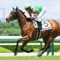 【ＰＯＧ】新馬戦を衝撃の末脚で制したジーティーサクラ　野路菊Ｓへ吉岡調教師「動きは変わらずいい」
