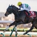 半兄はGII・2勝のショウヘイ イッソスがデビュー勝ちなるか