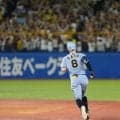 佐藤輝明の138m弾は「ゴルフボールみたい」　カメラは見失い…右翼席ファンは見上げた衝撃の一撃