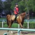 【ＰＯＧ】全兄にＢＣクラシック２着のデルマソトガケ　エンジャムメントに陣営「福島デビューの頃より格段に良くなっている」
