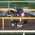 【ローズＳ・１週前】フラワーＣ勝ちスマートプリエールは新コンビ田山旺佑騎手騎乗でラスト１０秒９　「芯の強さを感じます」