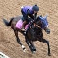 【紫苑Ｓ】転厩初戦のオークス２着馬ドリームコアは坂路で軽めの追い切り　田中博康調教師「余力残しにしました」