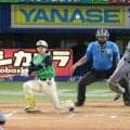 藤田平氏評論　ヤクルト七回の赤羽盗塁死は阪神バッテリーの意表を突いたつもりも通用しなかった