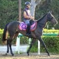 【注目馬動向】イクイノックスの全妹イクシードがローズＳに参戦　カーネーションＣ勝利後から休養