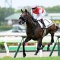 【札幌2歳S枠順確定】ショウナンガレオンは2枠2番、テンカタイヘイは8枠8番