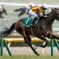 【紫苑S枠順確定】ドリームコアは7枠9番、ジッピーチューンは8枠10番