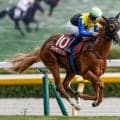 【セントウルS枠順確定】ダイヤモンドノットは3枠5番、フリッカージャブは2枠3番