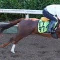 【ＰＯＧ談義】どうしよう...Ｇ１・２勝馬と「能力の高さ」が共通点の妹と年度代表馬に「一番似ている」娘がいきなり激突　