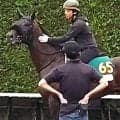 【札幌２歳Ｓ・直前気配】ショウナンガレオンが万全の最終調整　加藤士調教師「ここはクリアしてほしい」