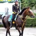 【札幌２歳Ｓ・金曜気配】未勝利で挑むハヤブサカツオーが“前日追い”で一発へ　陣営「上積みがありそう」