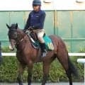 【札幌２歳Ｓ・金曜気配】中１週で重賞初挑戦のデザートスピリットが好気配　陣営「ほどよく気合」