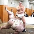 右膝手術の豊昇龍、横審稽古総見で相撲は取らず「ここで悪化したらもう終わりなので」　秋場所出場可否は熟考…１３日初日