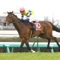 出世レースに異変あり！「どうしてこんな」「一気に難解」「酷暑の影響」９頭中５頭が未勝利馬の札幌２歳Ｓ