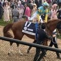 全兄はBCクラシック2着のデルマソトガケ エンジャムメントがデビュー勝ち狙う