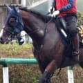 【京成杯ＡＨ・金曜気配】３歳馬のディールメーカーは精神面で成長　大和田調教師「いい意味で大人になった」