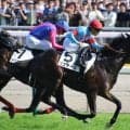 【セントライト記念想定馬・騎手】バステール、サノノグレーターなど16頭