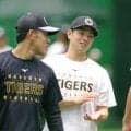阪神・下村　ヤクルト石川の金言を胸に　青学大の大先輩「スーパースター」から「この言葉は意外でした」