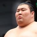 大関とりの熱海富士　力強い動きに八角理事長「あれはもうすぐ上がるような話。馬力がある」と高評価