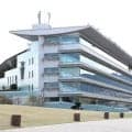 【５日の注目・阪神４Ｒ】１・１億馬サトノシャッツが初出走　タイムリミット迫る未勝利戦で勝ち星つかめるか
