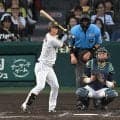 阪神・近本　打撃好調の理由が判明　構えだけじゃない！相棒のバットも変更　操作性重視型でヒット量産