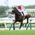 【札幌2歳S予想】クラシック見据える2歳重賞 長く良い脚問われる札幌1800m