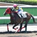 【札幌１Ｒ】ロジアコースが初ダートで一変！　単勝１・１倍の人気馬を圧倒する走りに浜中俊騎手「着差が示す通り…」