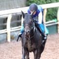 【セントウルＳ・土曜気配】８歳馬ヨシノイースターは活気十分に登坂　中尾調教師「臨戦態勢に入っているね」