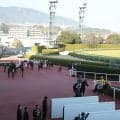 【阪神6R新馬戦結果】ガンランナー産駒の9番人気デザートキャンドルがV