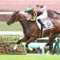 【中山５Ｒ・２歳新馬】「楽勝」ヴェトロテンペスタが圧巻の逃走Ｖ　年間１００勝達成のルメール騎手も絶賛