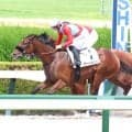 【阪神６Ｒ・２歳新馬】米Ｇ１・６勝ガンランナー産駒デザートキャンドルが差し切りＶ　吉村誠之助騎手「実戦に行って...」