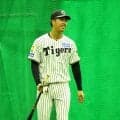 【阪神】「７度目」の昇格へ　ドラ３岡城快生が２週間ぶり１軍合流　俊足強肩の右の外野手