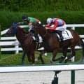 【阪神6R新馬戦結果】ガンランナー産駒の9番人気デザートキャンドルがV