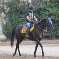 土曜中山競馬場の注目激走馬…中山１１Ｒ京成杯オータムハンデキャップ・Ｇ３