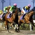 武豊、秋競馬開幕週は11鞍…京成杯AH、セントウルSで連日重賞Vのチャンス