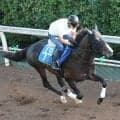 【京成杯ＡＨ】ミカエル・ミシェル騎手がＪＲＡ重賞初騎乗　６番人気ミナデオロで９着