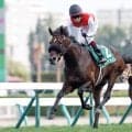 【JRA・WIN5】本日のWIN5は的中88票、配当485万690円