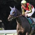 【京成杯ＡＨ】まさかの最下位...ルメール騎手騎乗の３番人気ヴァルキリーバースは１６着　前走１４着から一変狙うも