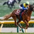 【セントウルS予想】父ノーザンダンサー系は前走の位置取りやレースに注意！ ローテーションに不安を感じる有力馬とは