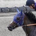 【紫苑Ｓ】オークス上位馬が人気集める　１番人気は２・０倍でドリームコア、リアライズルミナスが２番人気