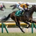 【紫苑S前日オッズ】ドリームコアが2.0倍で1番人気