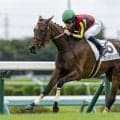 【新馬/中山5R】ルメールがJRA年間100勝！コントレイル産駒ヴェトロテンペスタが3馬身差V