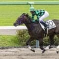 【新馬/中山6R】武豊ポッドビートが衝撃の逃げ切りV…10馬身差圧勝