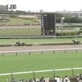 「楽勝です」名手騎乗で“10馬身差”ぶっちぎり…外国産新馬にファンの期待膨らむ「大物感満載」「化け物かよ」