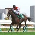 【札幌２歳Ｓ・レースメモ】優勝馬ショウナンガレオンの父フライトライン、産駒初出走で初勝利