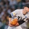 阪神の日曜は22試合で18勝４敗、現在11連勝中　予告先発は大竹耕太郎／見どころ