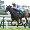 【セントウルS予想】秋のGIへ向けた重要ステップ ゴール前の急坂待つ阪神芝1200m