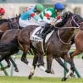 半姉はレシステンシア バルセシートが2連勝なるか