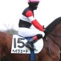 崖っぷちの３・２億円馬が待望の初Ⅴ　「めっちゃ冷や冷や」「負けたかと…」ヘイジュードが首差で未勝利脱出